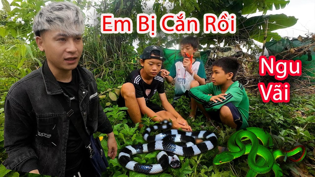Hậu Cáo - Rủ Đệ Tử Đi Săn Chim Bất Ngờ Bị Rắn Xanh Đớp