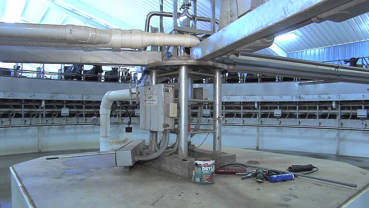 Morgan County Dairy Modernizes With Carousel Milking Parlor