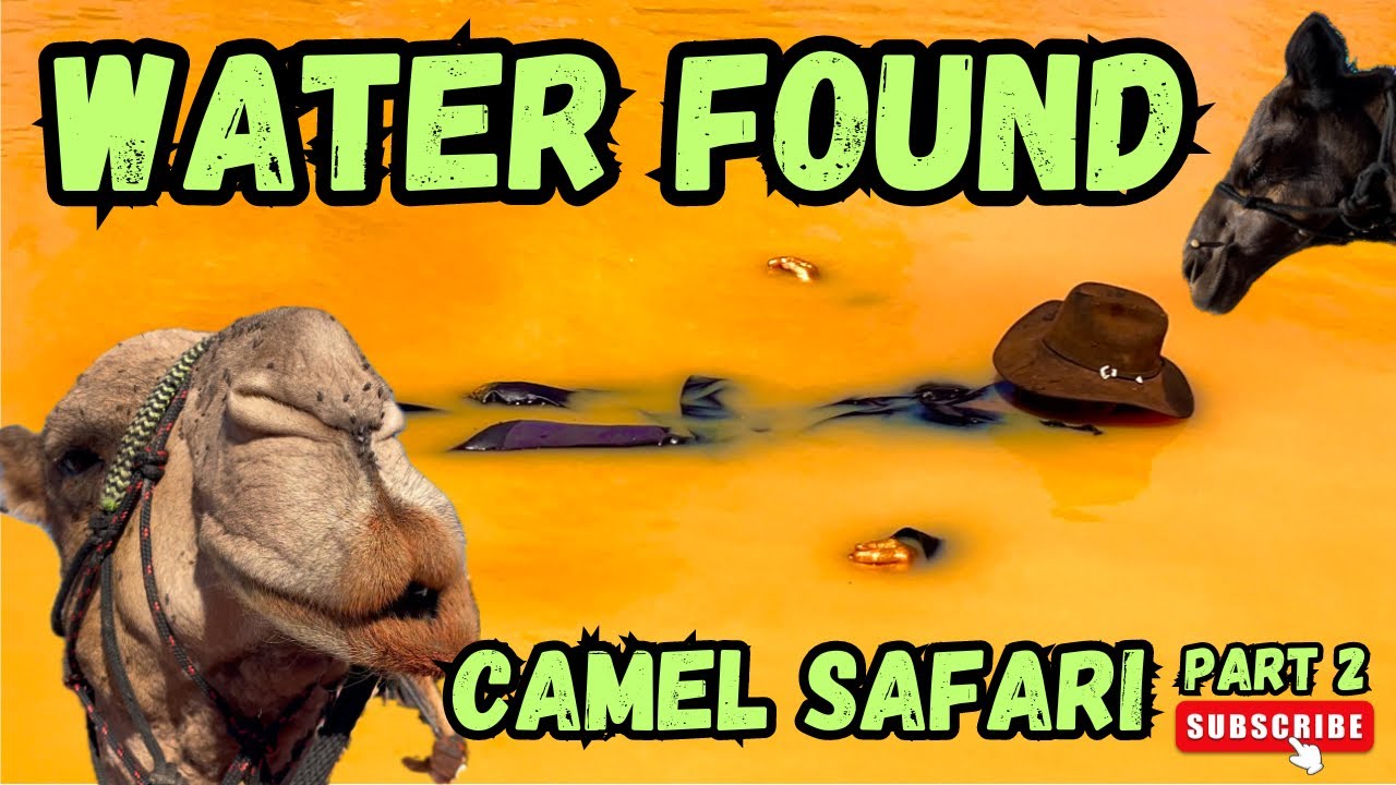 Camel Expedition. Water found. Part 2