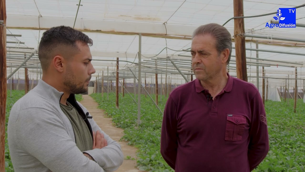 Dulce de Adra || José Ruiz, responsable de Melones el Abuelo, y Damián Soler, agricultor abderitano