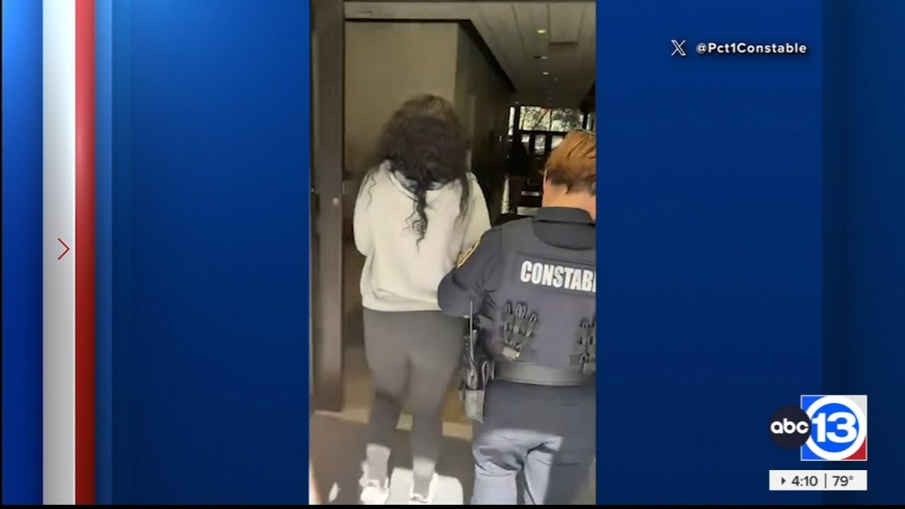 2 Harris Co. tax office employees among suspects accused in vehicle registration scheme: Pct. 1