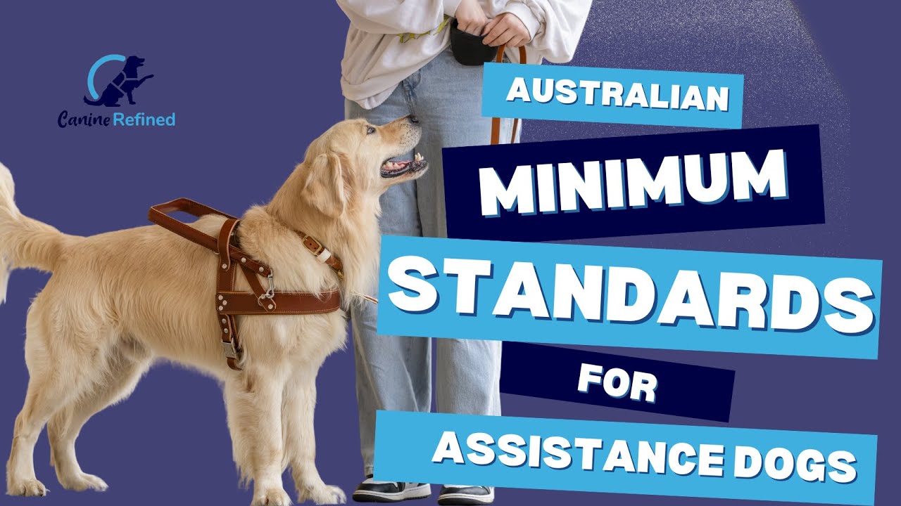 Assistance Dog Minimum Standards (Australia)