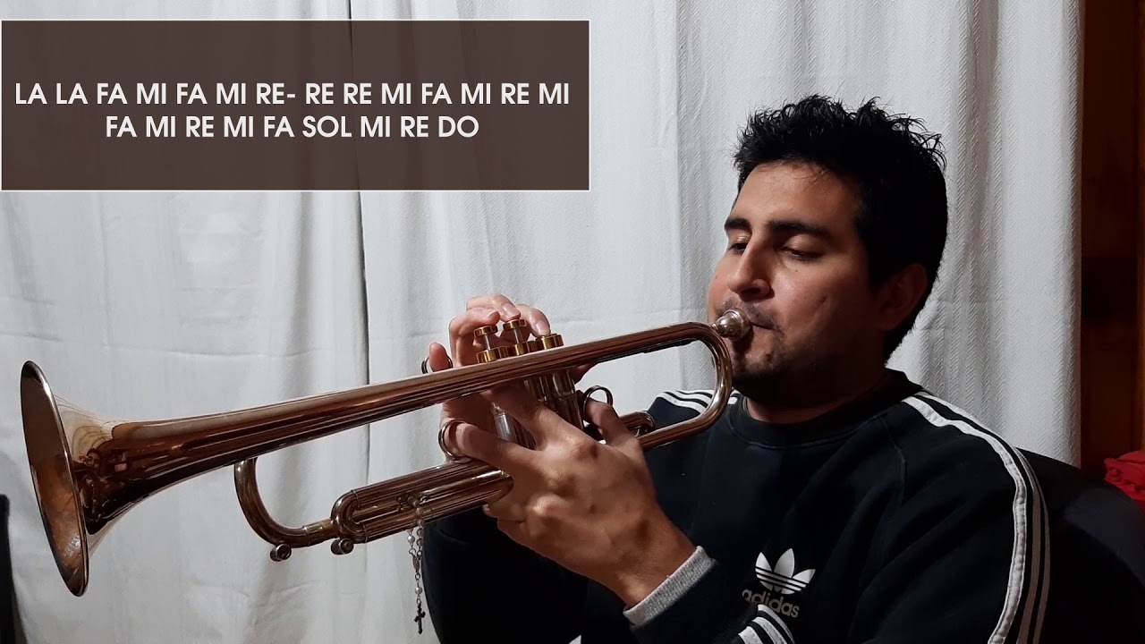 Te sorprenderas-Vuela mariposa/Mario luis trompeta