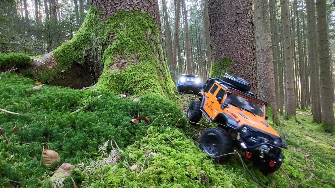 RC Crawler moosy forest trail