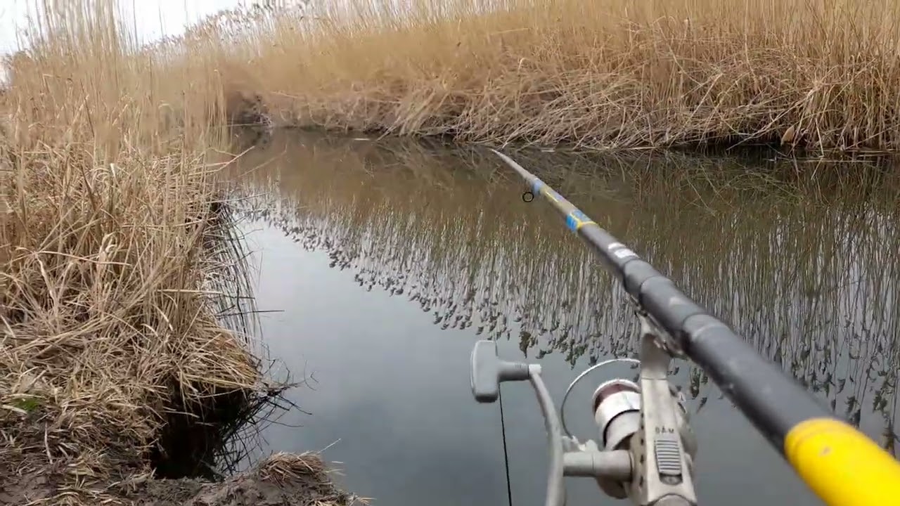 Horgászat K.O.C.A Peca , River Fishing