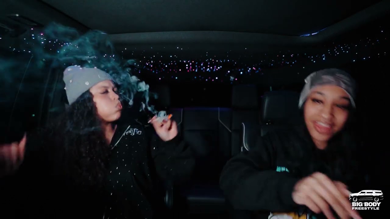 Ms.Mamas - WTA (BigBodyFreestyle)