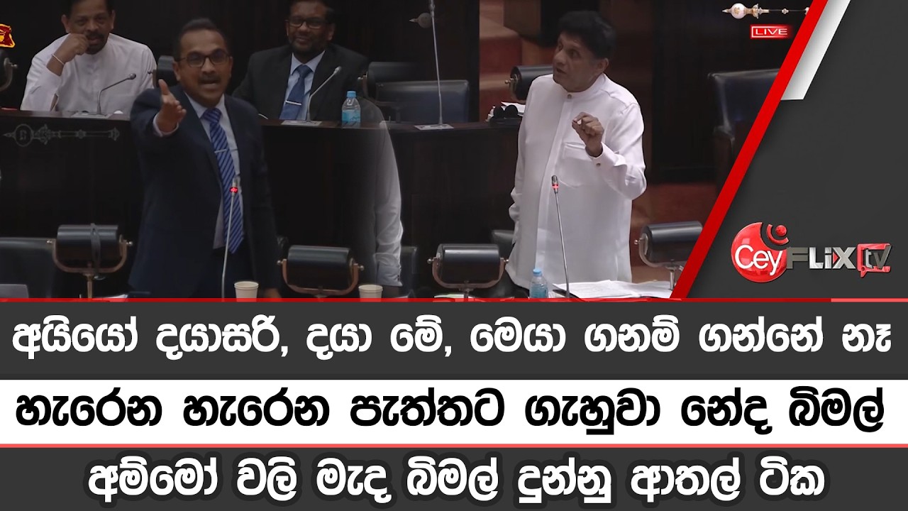 අයියෝ දයාසරි, දයා මේ, මෙයා ගනම් ගන්නේ නෑහැරෙන හැරෙන පැත්තට ගැහුවා නේද බිමල්