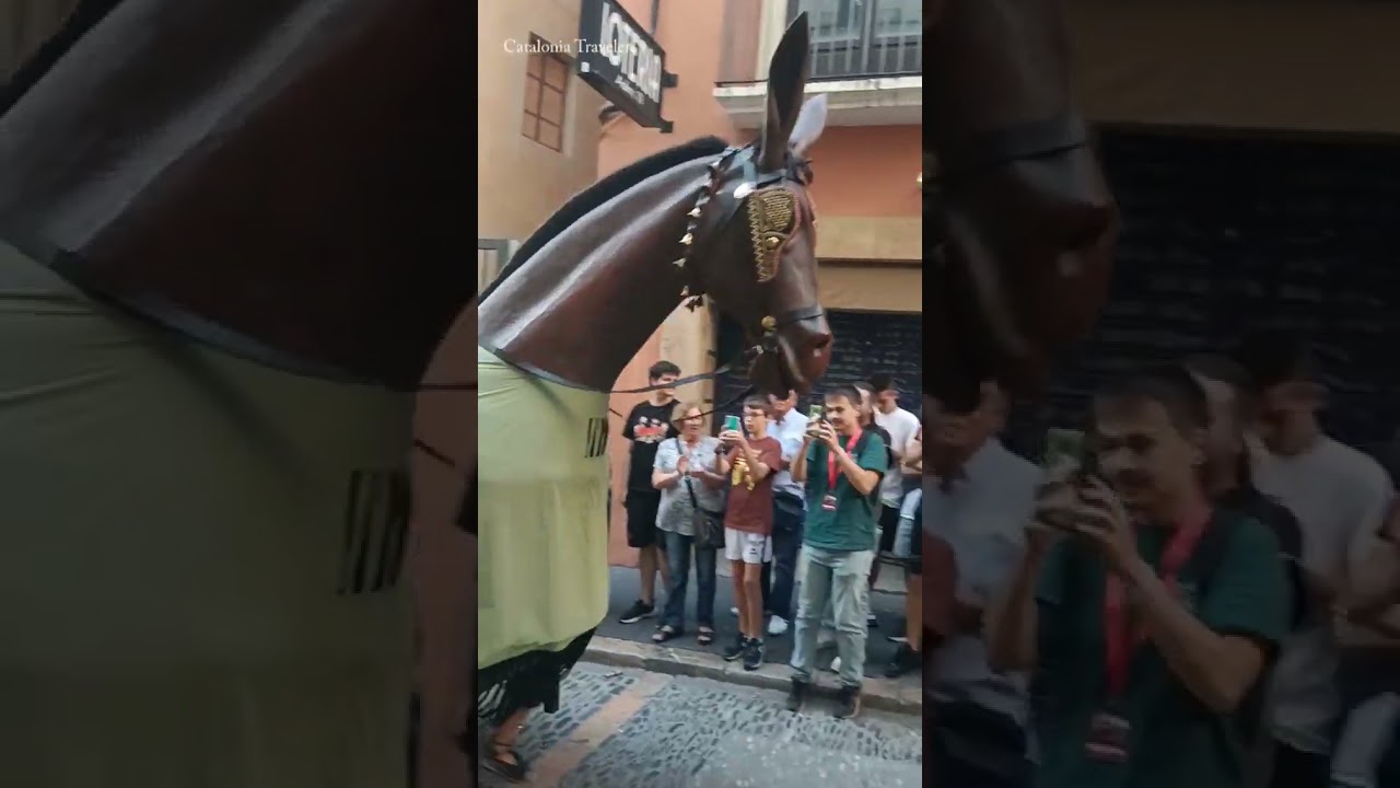 A mule runs up a hill (Mulassa de Tarragona, Catalonia) Walking tour (Spain) #shorts