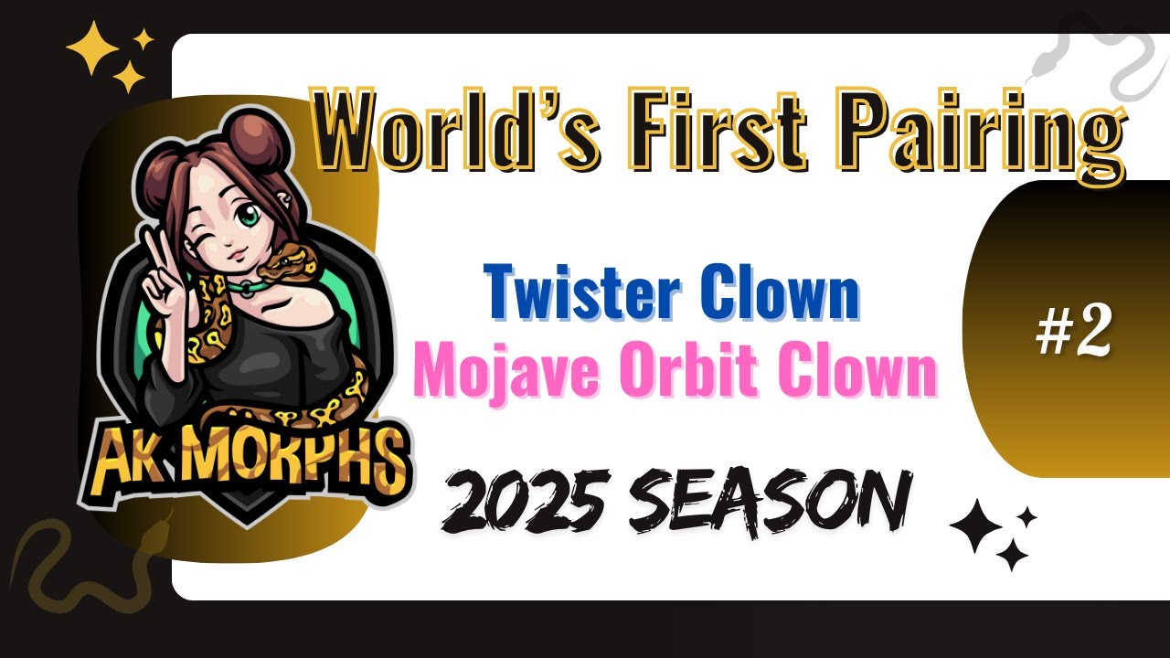 Twister Orbit Clown