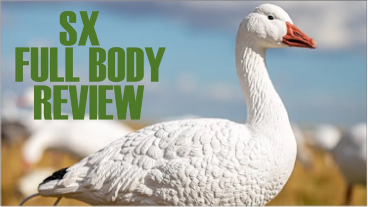 Waterfowl Wednesday - SX Full Body Snow Goose Decoys Review