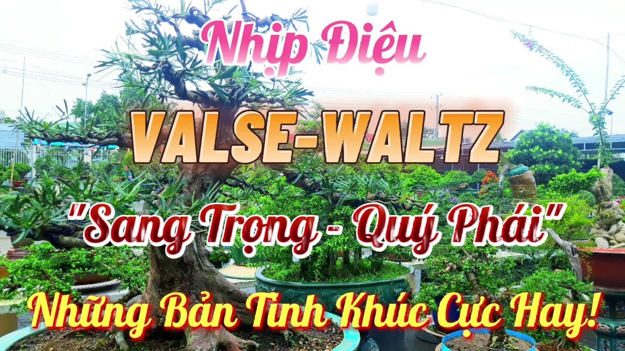 Nhịp Điệu VALSE Sang Trọng Đẳng Cấp | Nhạc Tuyển Chọn Những Bản Tình Khúc Giai Điệu VALSE Bất Hủ