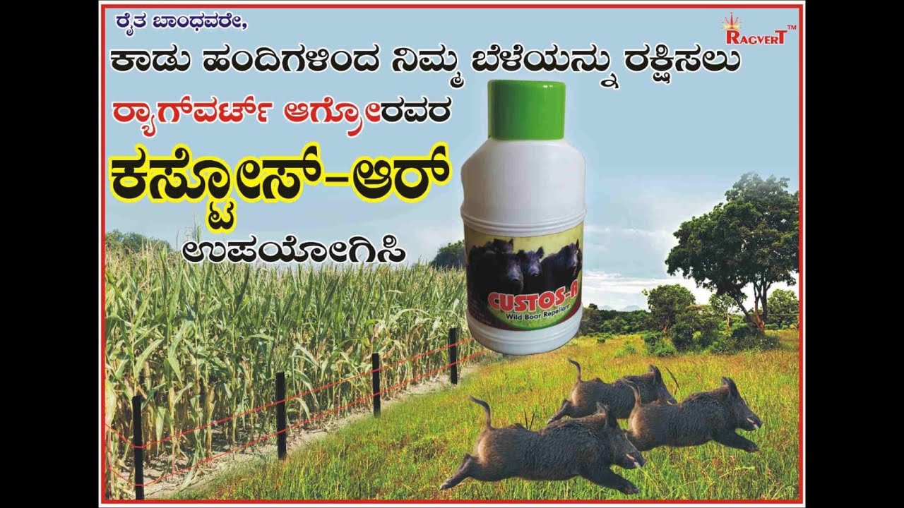 WILD BOAR REPELLENT - CUSTOS-R / ಕಾಡು ಹಂದಿಗಳಿಂದ ಬೆಳೆಗಳ ರಕ್ಷಣೆಗೆ - CUSTOS-R