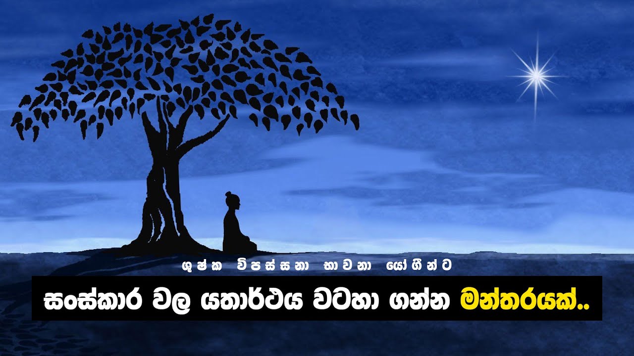 මන්තරයක් වගේ මතුරන්න සතලිස් ආකාර විපස්සනා භාවනා වාක්‍යයන් - 01 | Ven.Kirulapana Dhammawijaya Thero