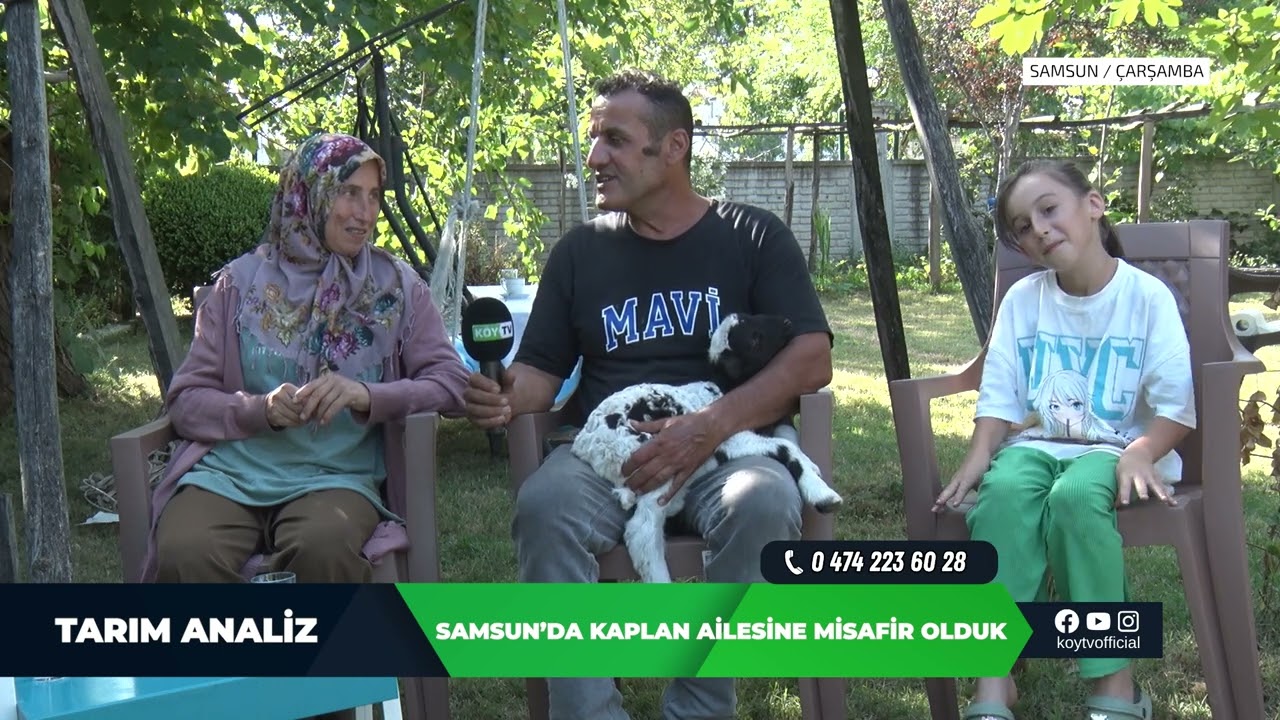 TARIM ANALİZ,BALYA MAKİNESİ, MUTSAL MİNİ RULO BALYA MAKİNASI, SİRKECİ MAKİNA,ADİL GÖKSEL, MUTSAL