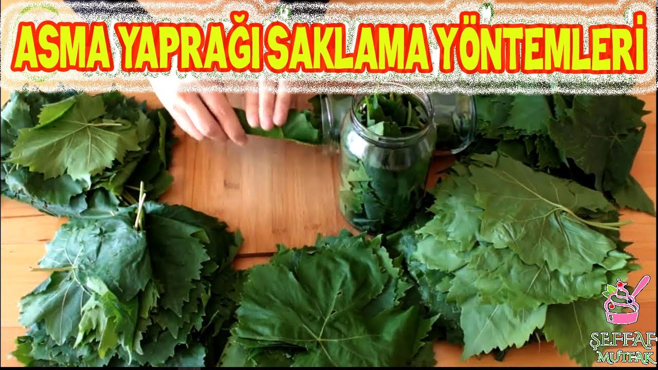 ASMA YAPRAĞI SAKLAMA YÖNTEMLERİ👌🏻 3 FARKLI SAKLAMA🍃SALAMURA VAKUM ve DONDURUCU /ŞEFFAF MUTFAK