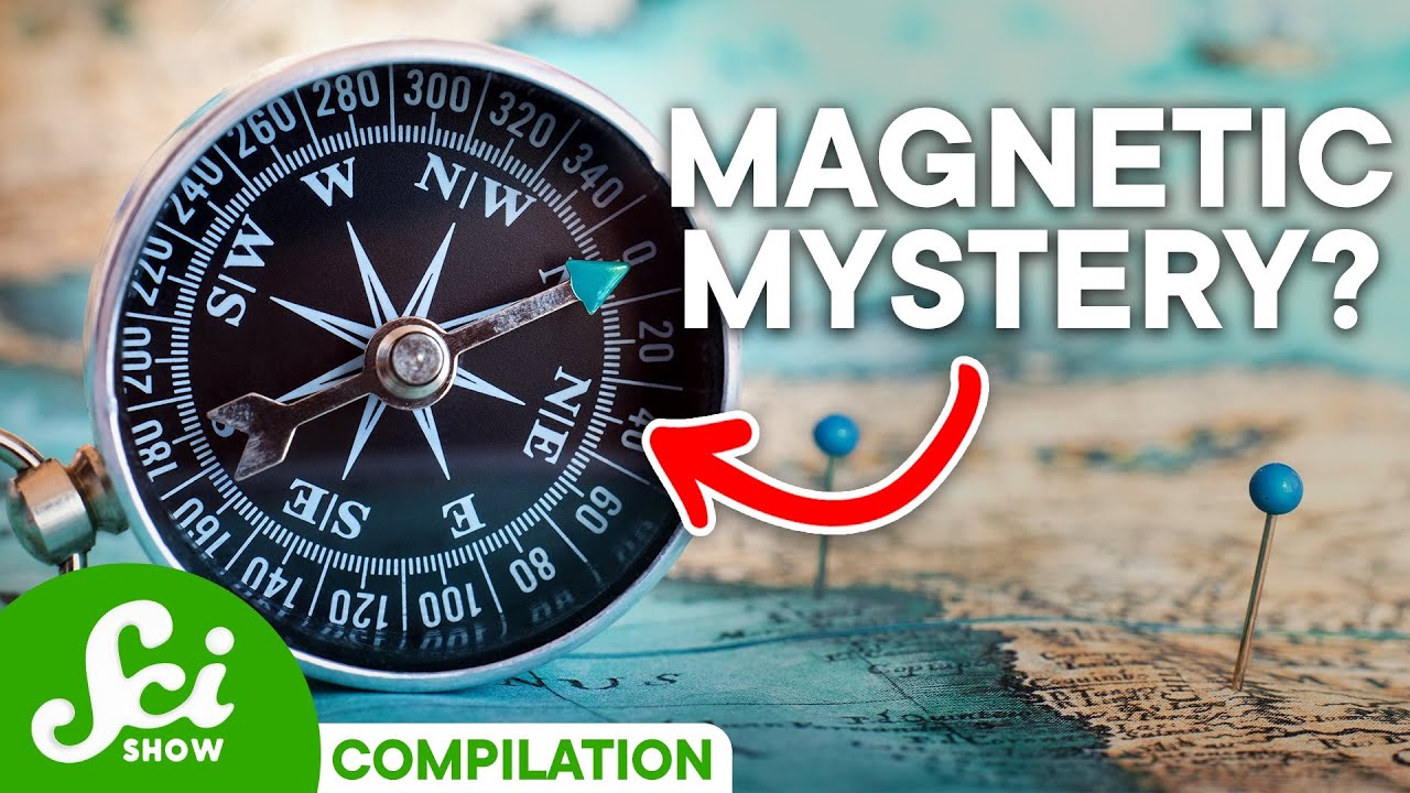 What Do Magnetic Fields Actually Do? | SciShow Compilation