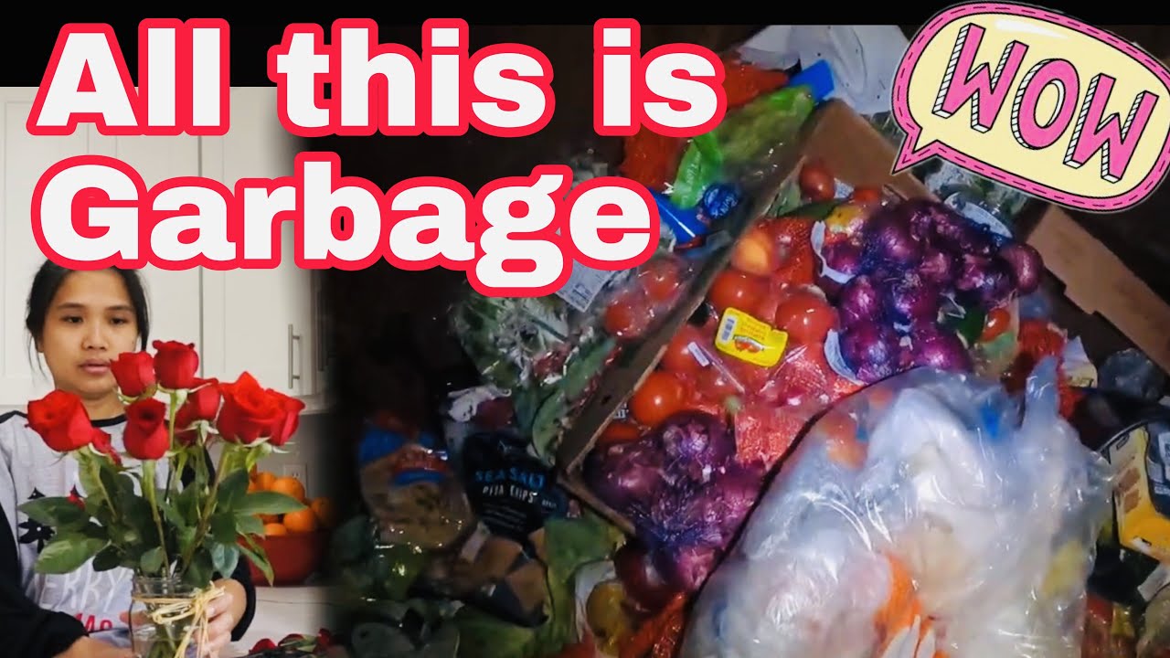 Dumpster diving the store throw all their food vegetables and fruits