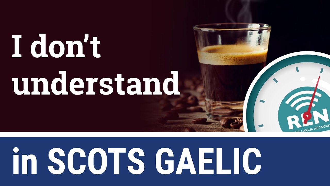 How to say I Don't Understand in Scots Gaelic - One Minute Gaelic Lesson 4
