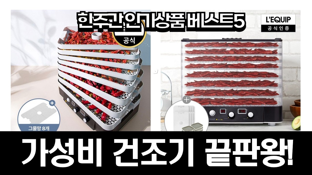 가성비 끝판왕! 가정용 식품건조기 추천 비교: 리큅 vs 신일