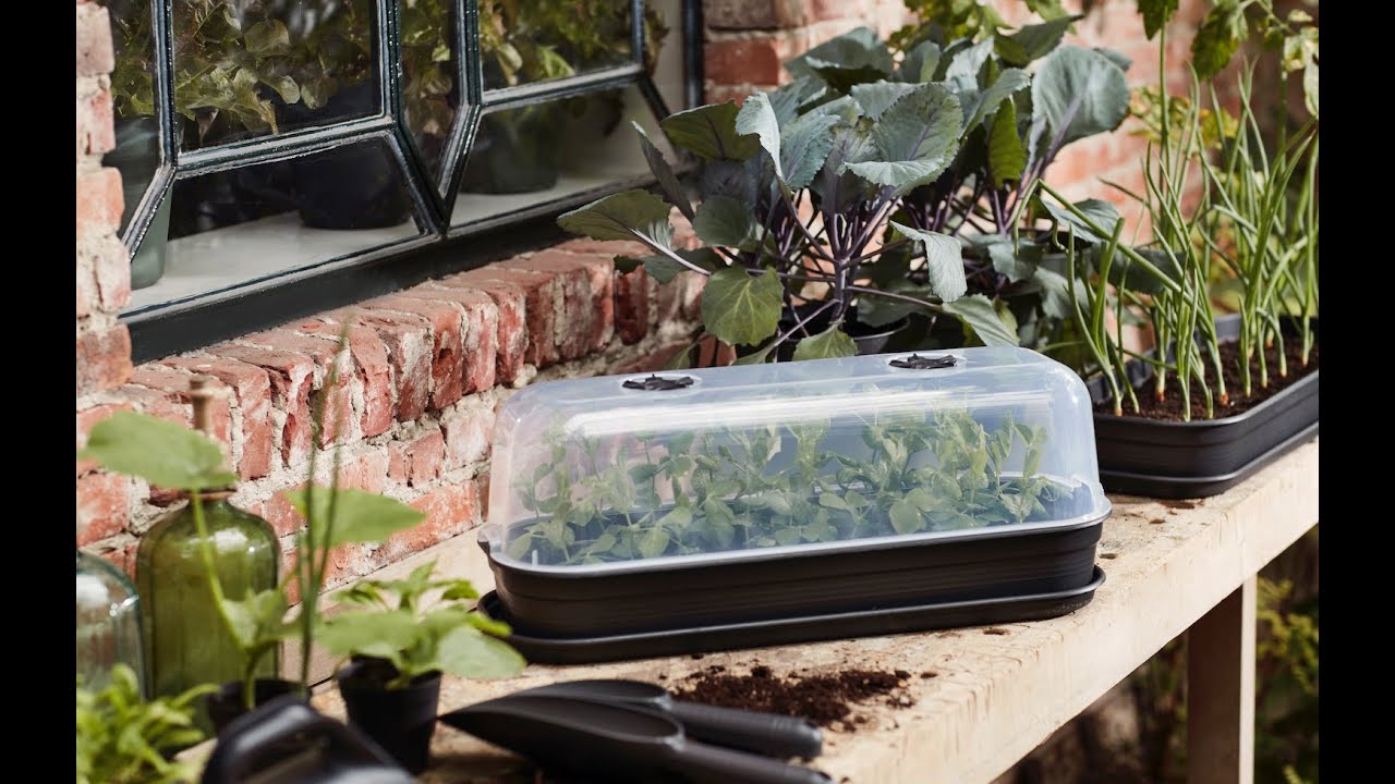 Elho Grow Tray Saucer - House - Plantlabels - Vaso, serra ed etichette per l'orto in casa