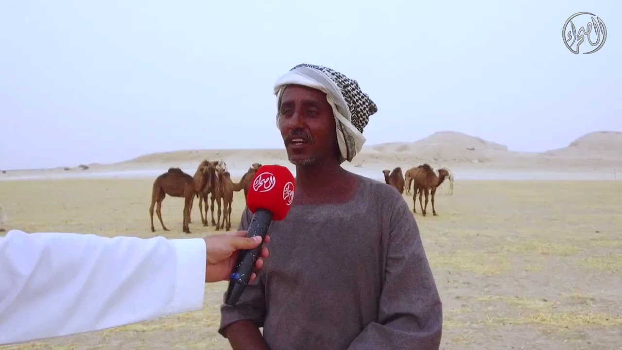 برنامج مقيظ الإبل مع مالك الإبل/ محمد بن هايف الدولي العتيبي