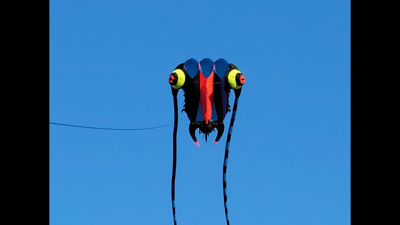 Trilobite kite - 7sqm