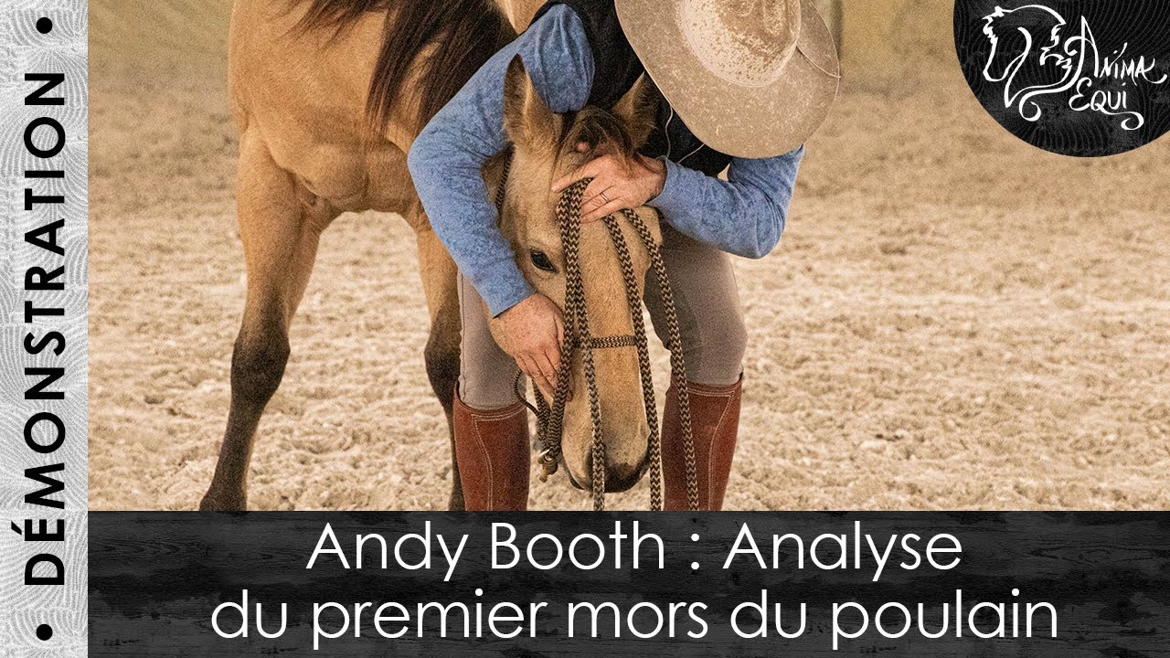 • DÉMONSTRATION • Andy Booth : Analyse du premier mors du poulain