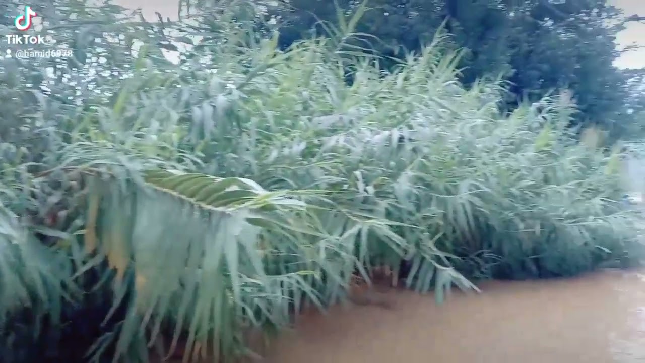 Malak mala Barish☔🌊