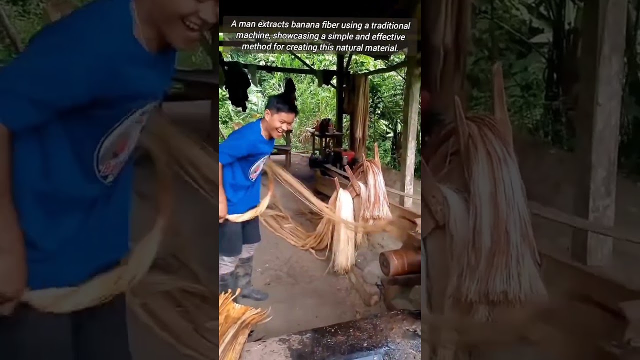 Traditional Method for Making Banana Fiber.