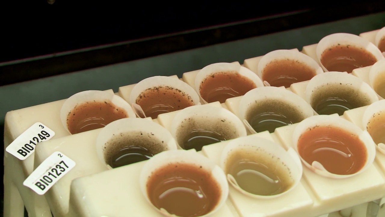 Inside a Soil Testing Lab