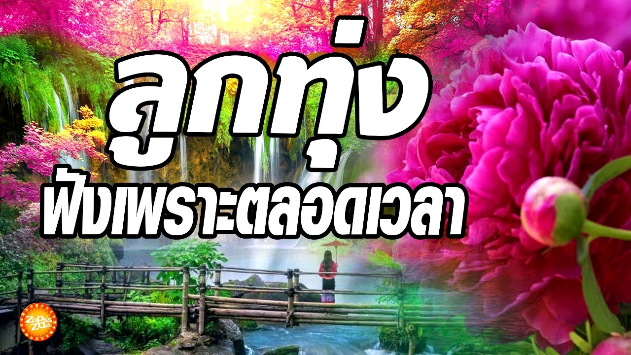 เพลงลูกทุ่งฟังเพราะตลอดเวลา