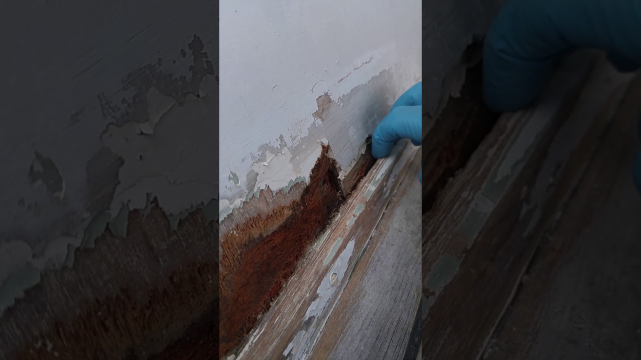 Grand Banks 42 Companion Way Repair