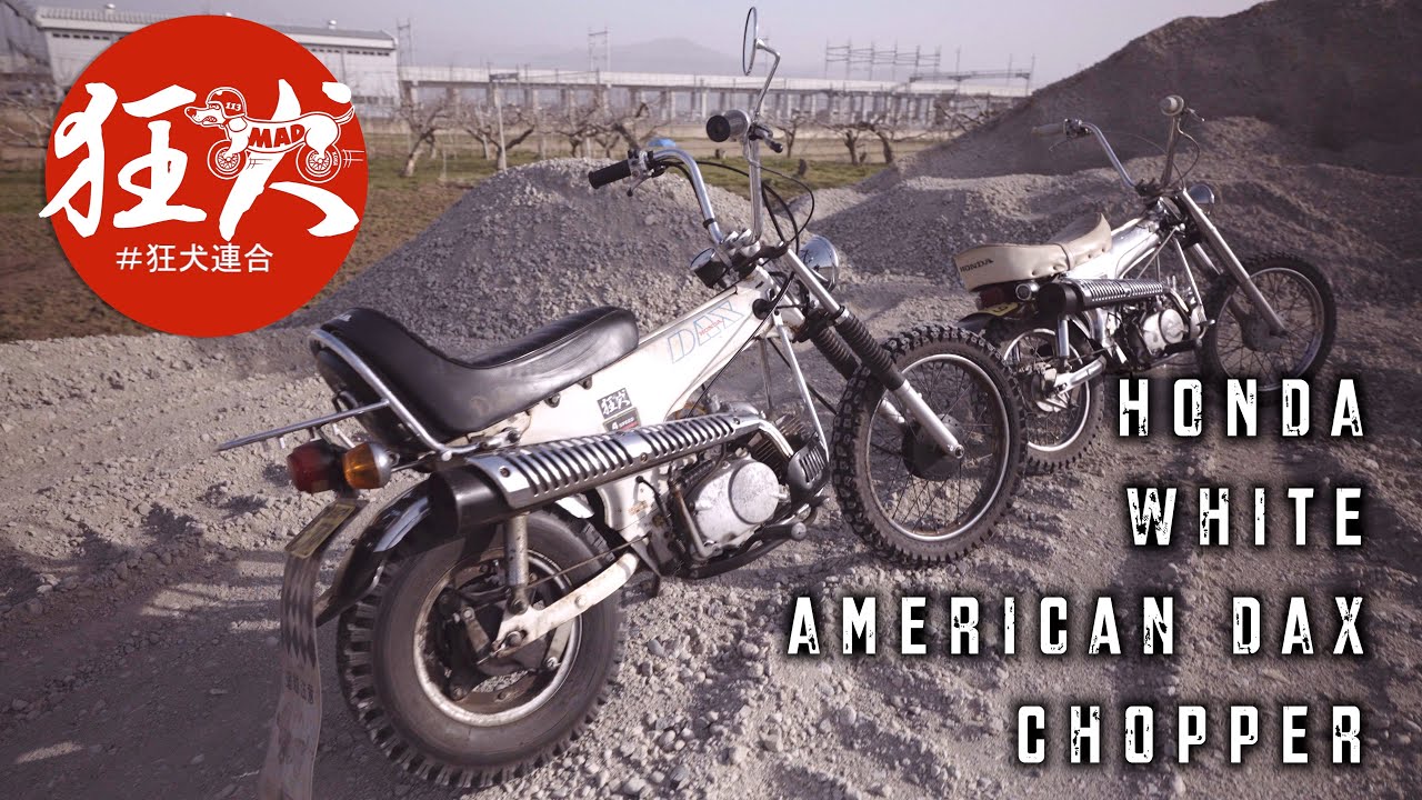 【ホンダ Dax チョッパー】狂犬連合 見習い ホワイト アメリカンダックスのカスタムは？_HONDA_American Dax_Chopper_kyoukenrengou_cub_4mini_カブ