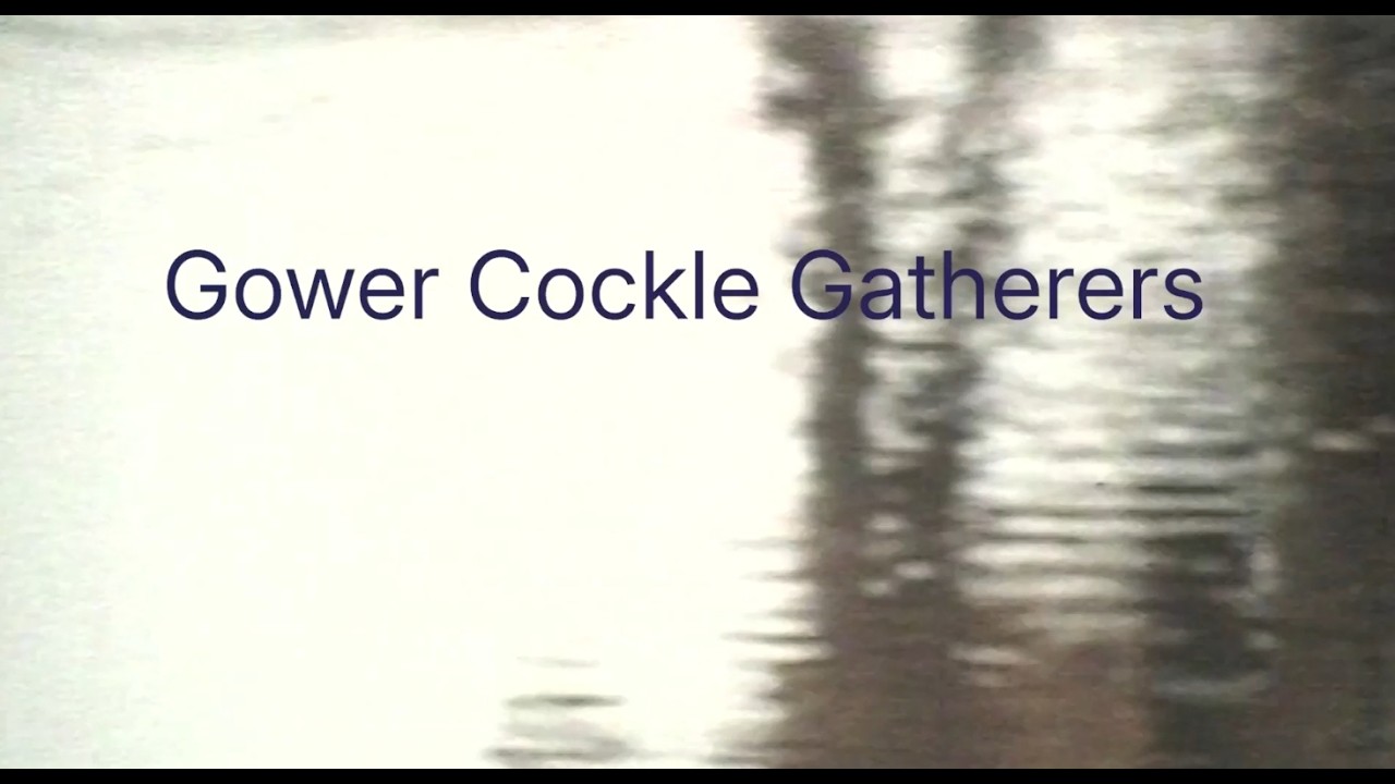 Gower Cockle Gatherers