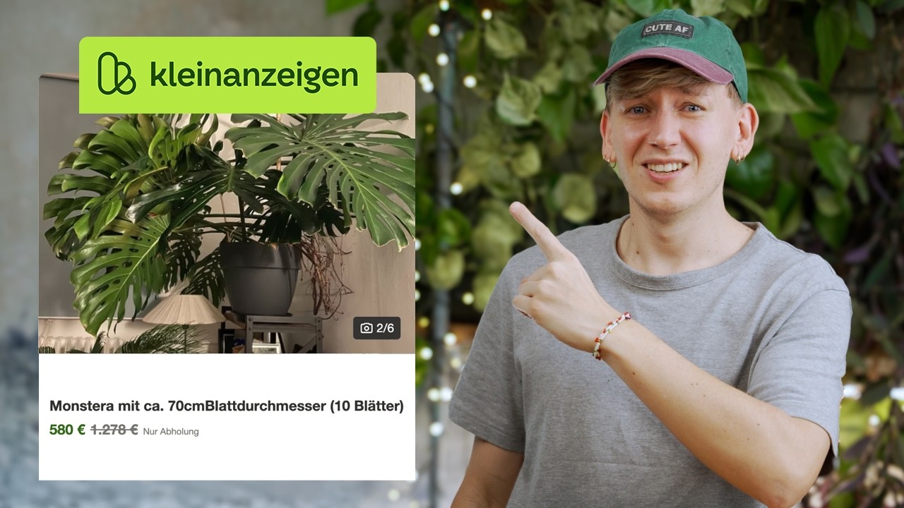 Zimmerpflanzen bei Kleinanzeigen RETTEN 😱 DIESE 3 Pflanzen brauchen DRINGEND Hilfe!