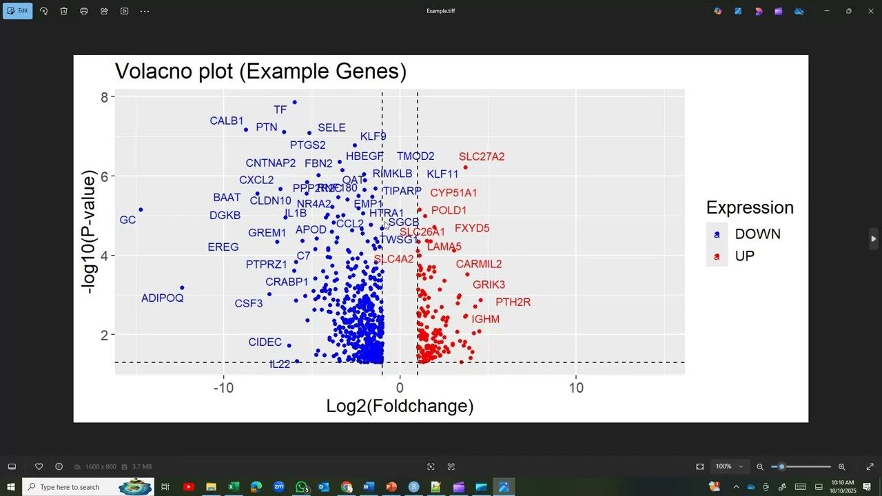 Построение графика вулкана с использованием R — пошаговый код