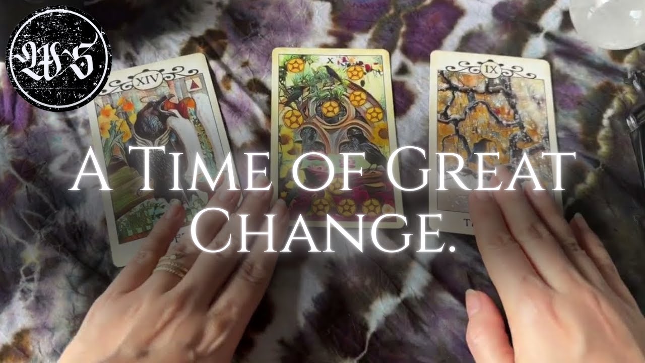 You Have Higher-Level Help in this stage Cleansing/Protection.
