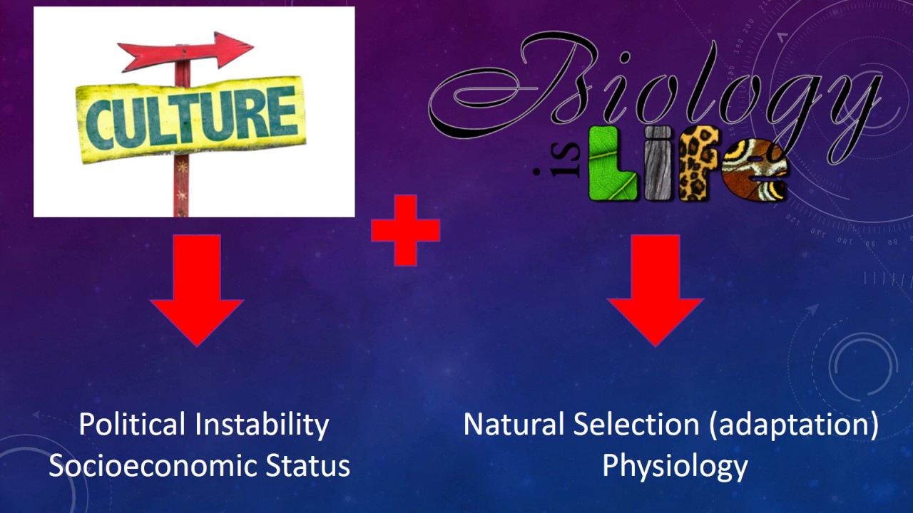 The Biocultural Approach: Brief Explanation