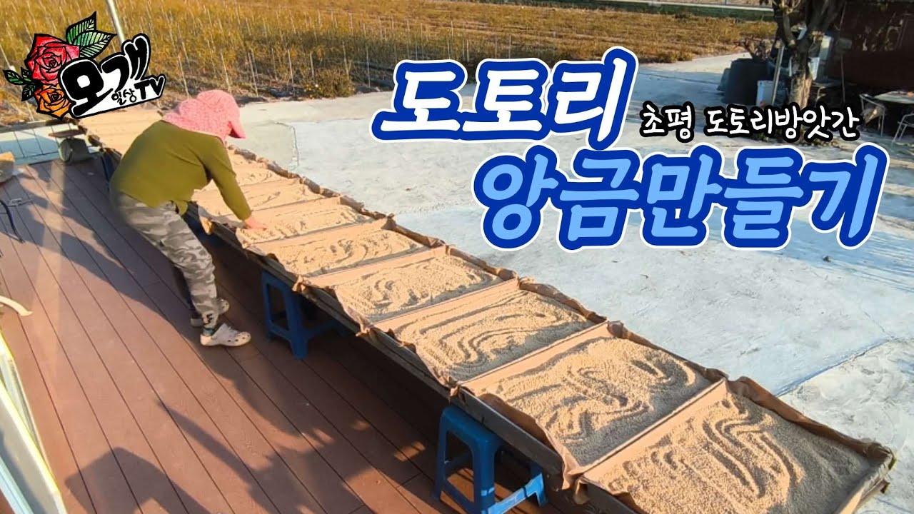 모개의일상 | 도토리 앙금을 말리는 계절 | 2025 도토리방앗간 방문 브이로그