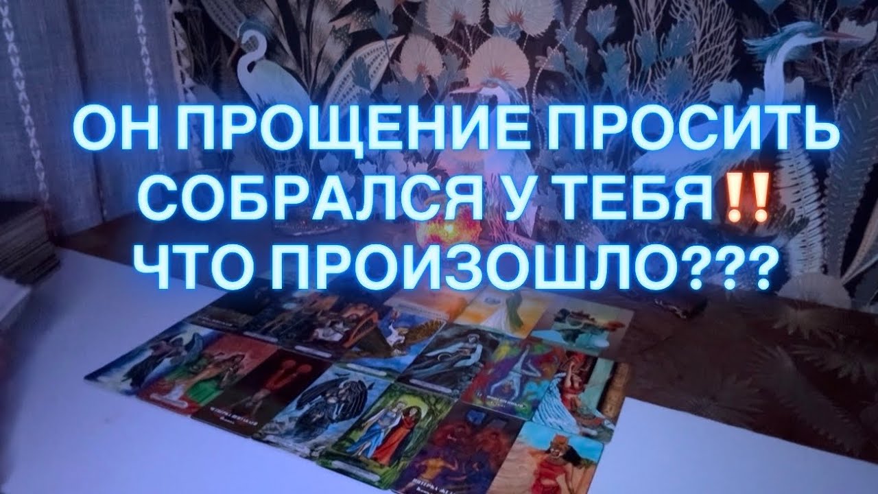 СОБРАЛСЯ ПРОЩЕНИЕ ПРОСИТЬ&hellip;💡ЧТО СЛУЧИЛОСЬ ? #tarot #тароонлайн 