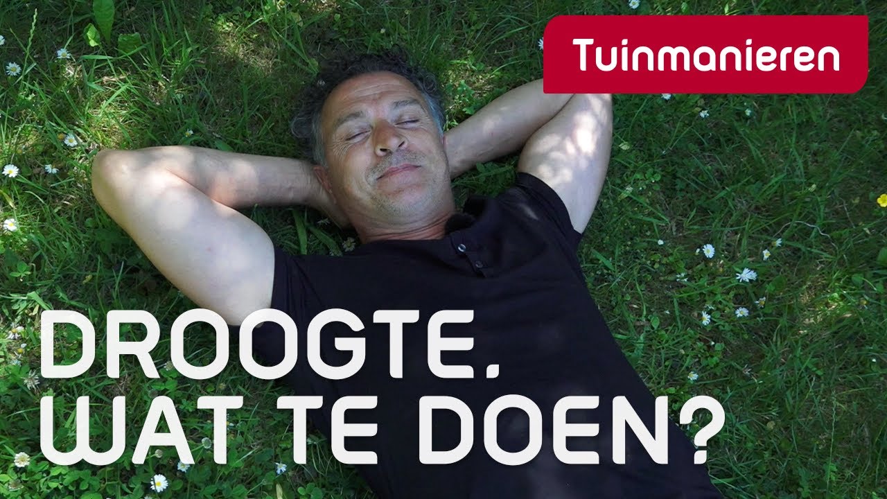 Droogte in de tuin. Wat te doen? | Zomer | Tuinmanieren