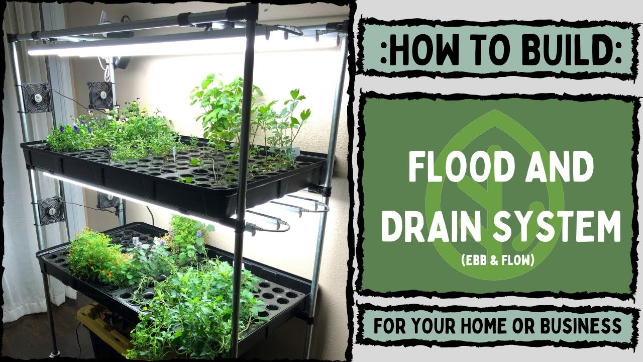 Hydroponic Flood and Drain 
