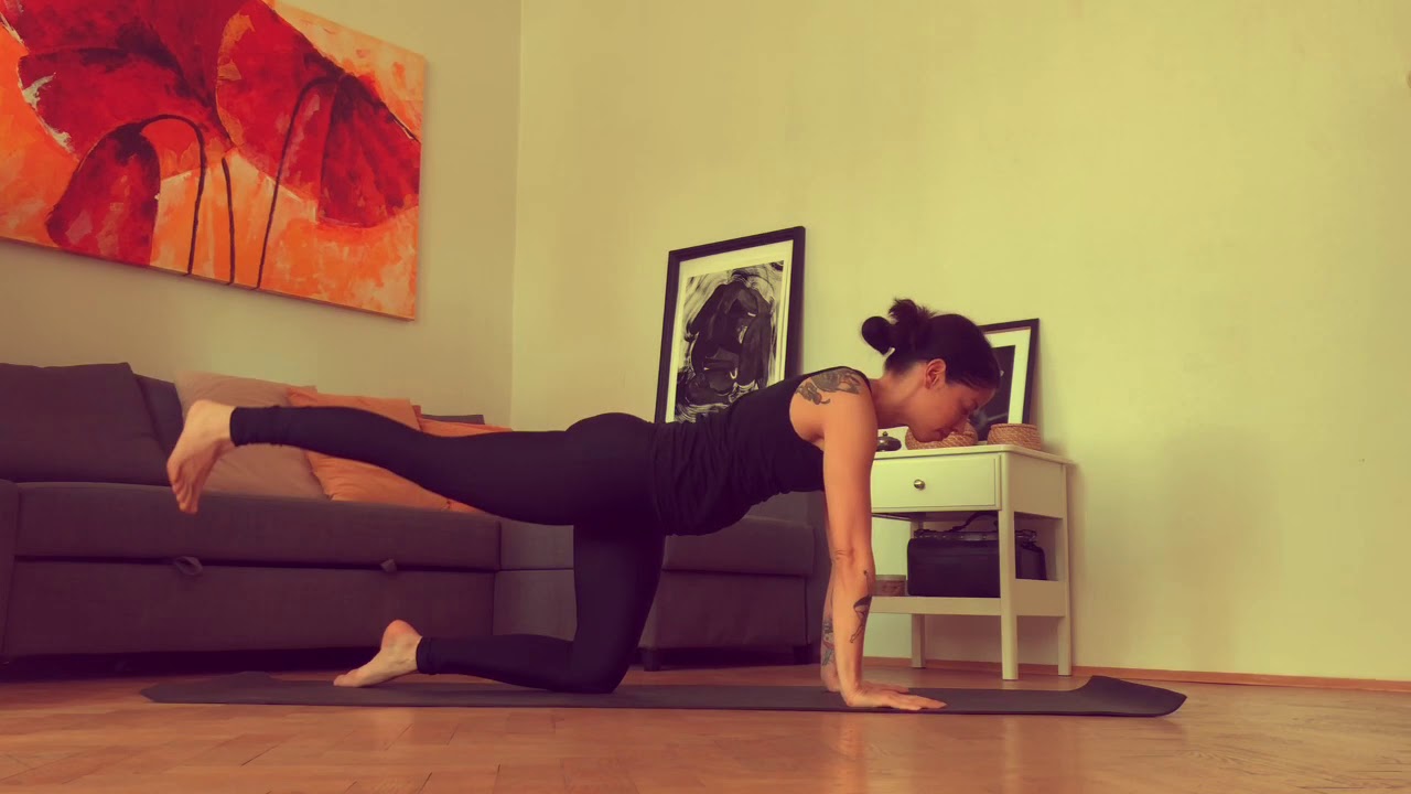 Joga Quarantine BASIC 5