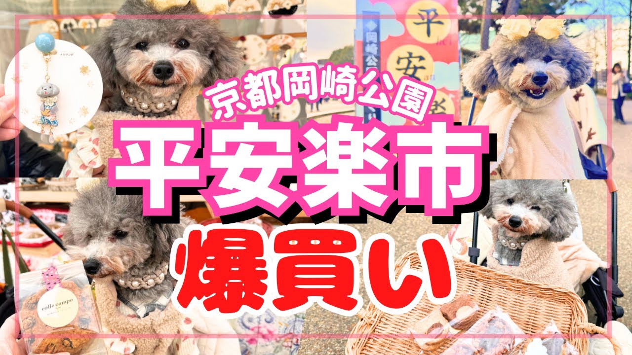 【京都手づくり市】平安楽市で愛犬と爆買い💕映え～美味しいお菓子が沢山🧸㏌平安神宮岡崎公園