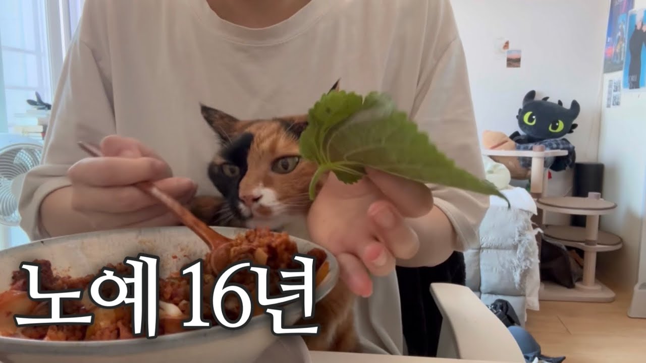 뭐하는데 맨날 바쁘냐던 친구들에게