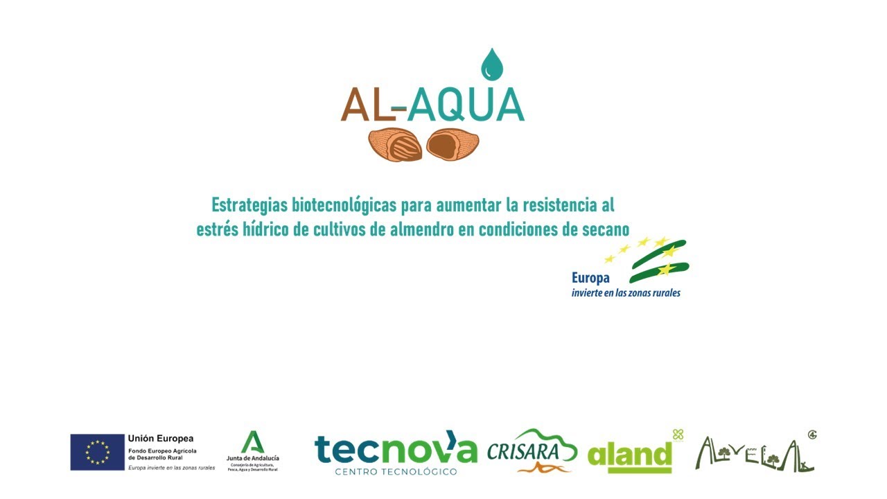 Webinar Al Aqua