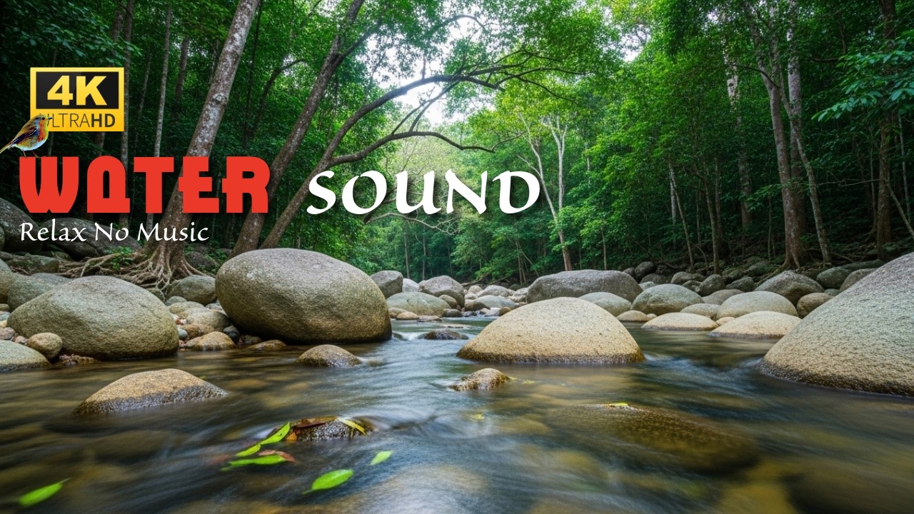 4K Relaxing Water Sound Easy sleep | Birds Chipping | No Music Smooth Natural