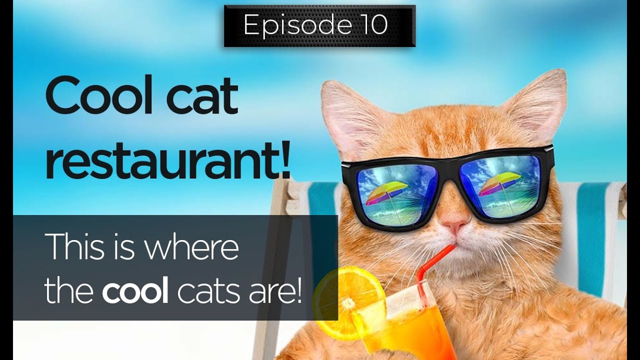 Coolest cat restaurant in Siberia - Самый крутой кошачий ресторан в Сибири
