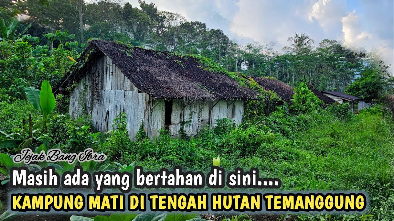 KAMPUNG MATI DI TENGAH HUTAN TEMANGGUNG, MASIH ADA SATU KELUARGA YG BERTAHAN DI SINI...