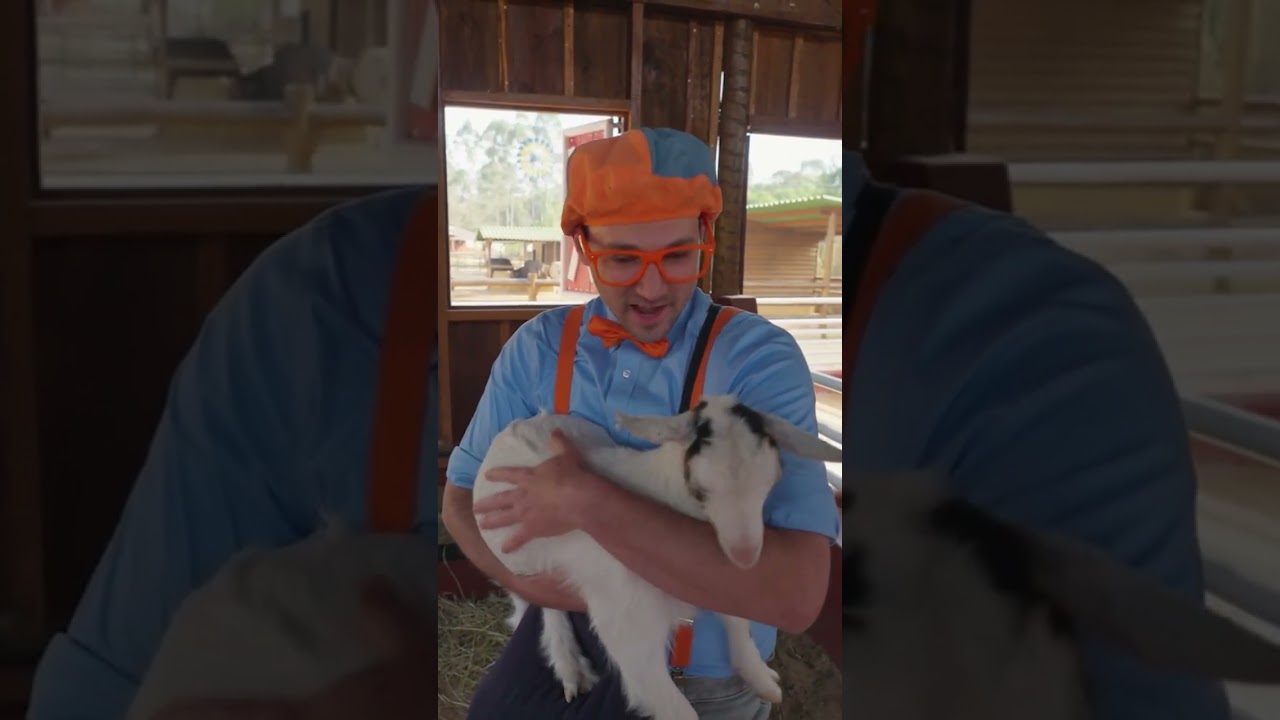 Do you know what a baby goat is called? 🐐 #blippi #learning #shorts